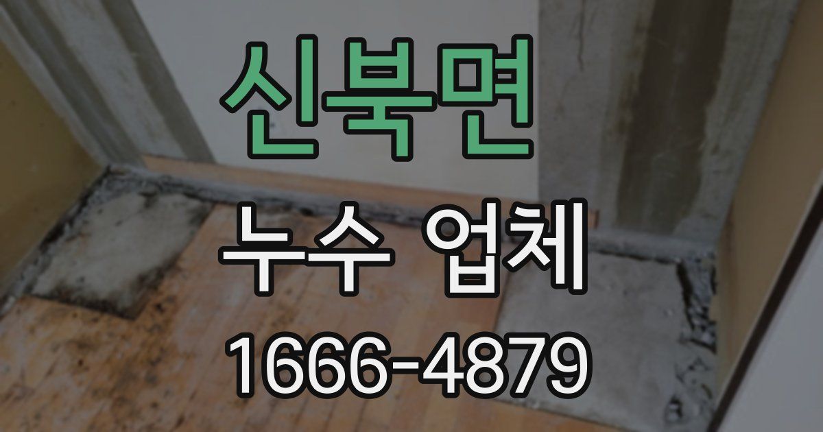 신북면 누수 업체