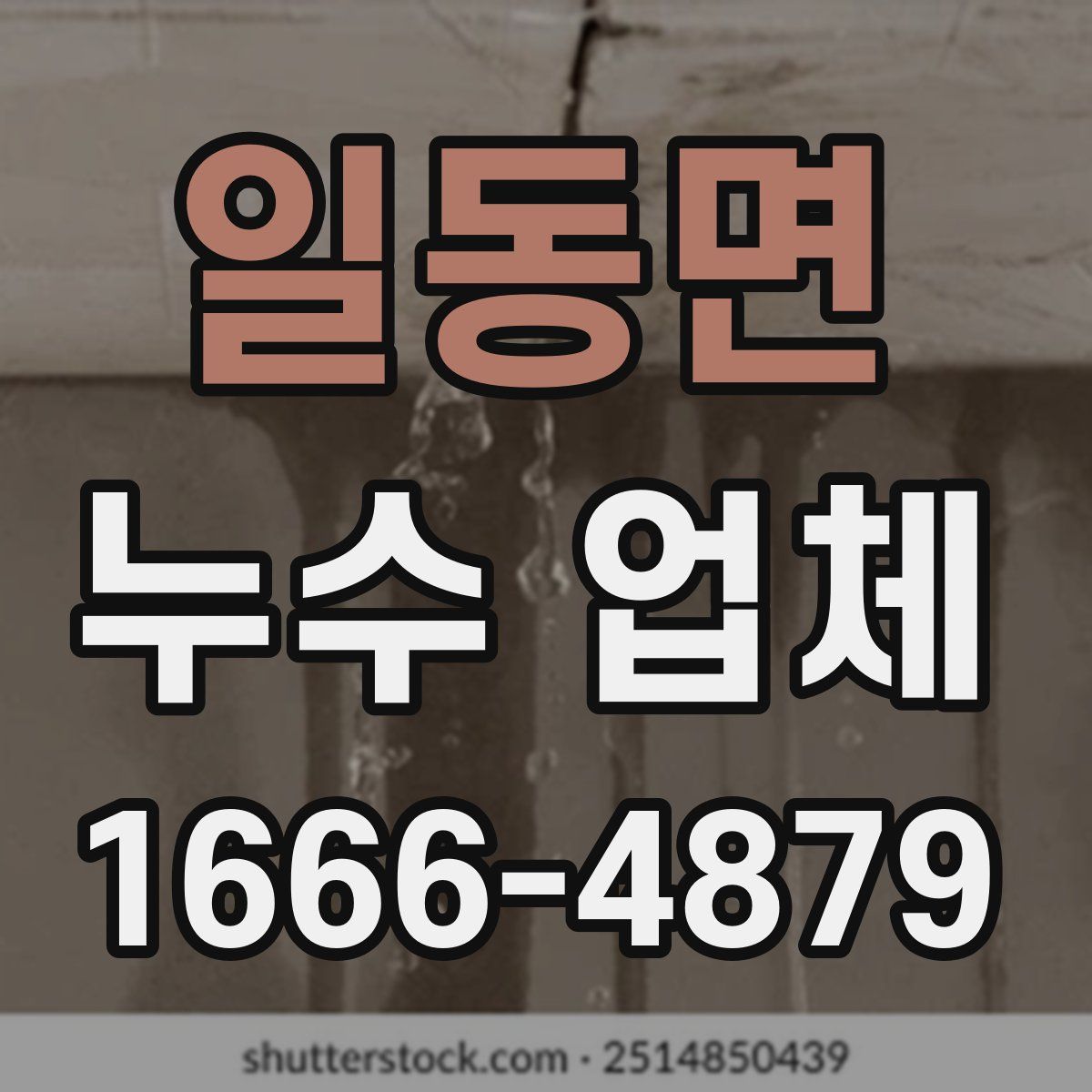 일동면 누수 업체