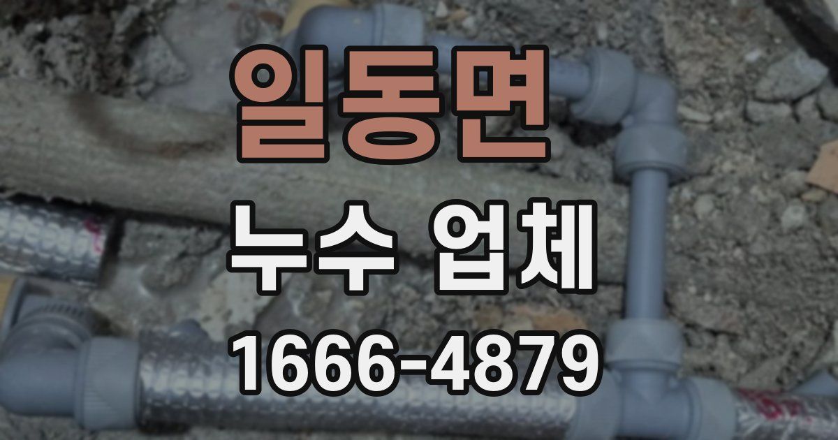 일동면 누수 업체