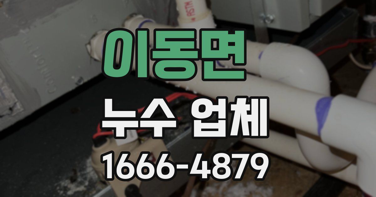 이동면 누수 업체