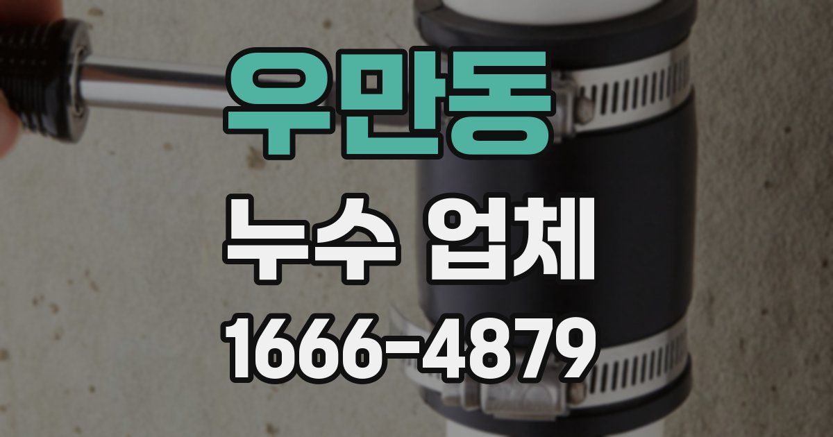 우만동 누수 업체