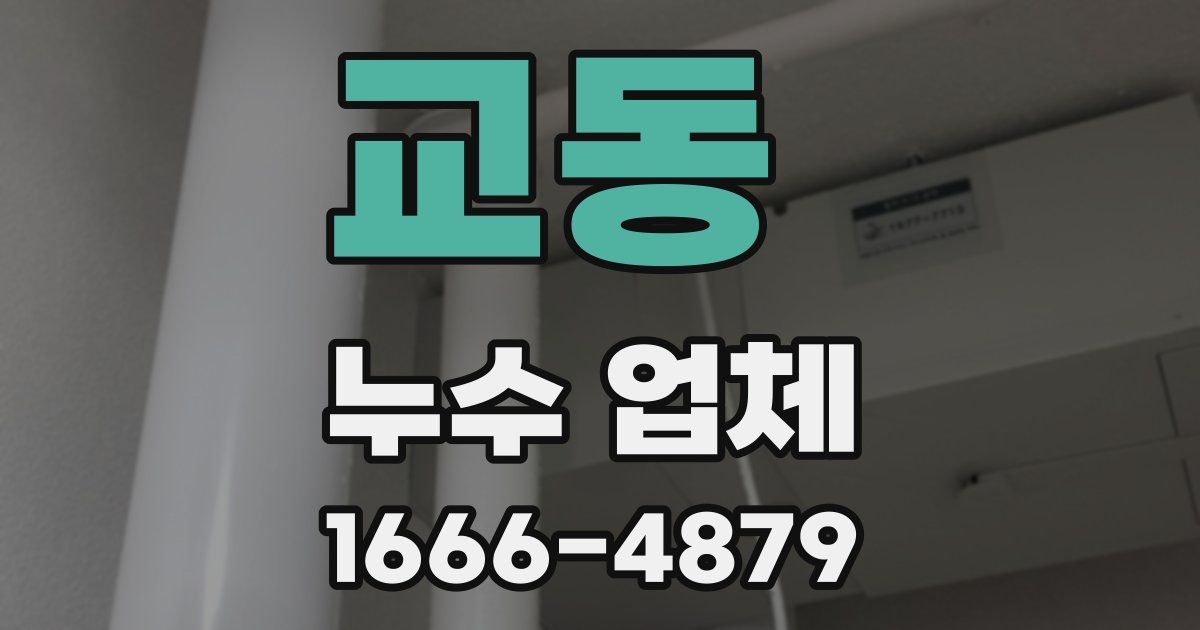 교동 누수 업체