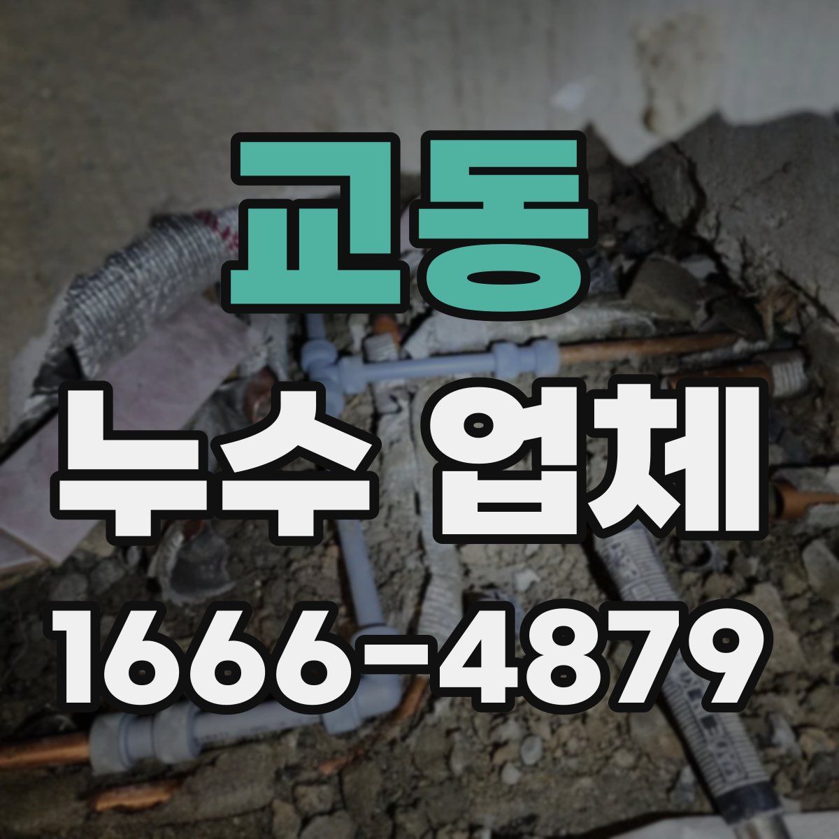 교동 누수 업체