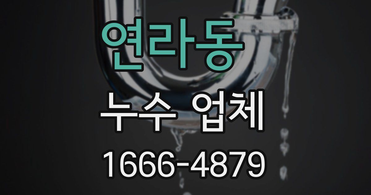 연라동 누수 업체