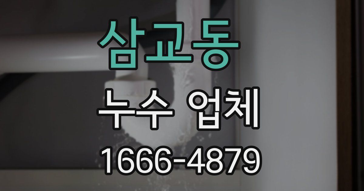 삼교동 누수 업체
