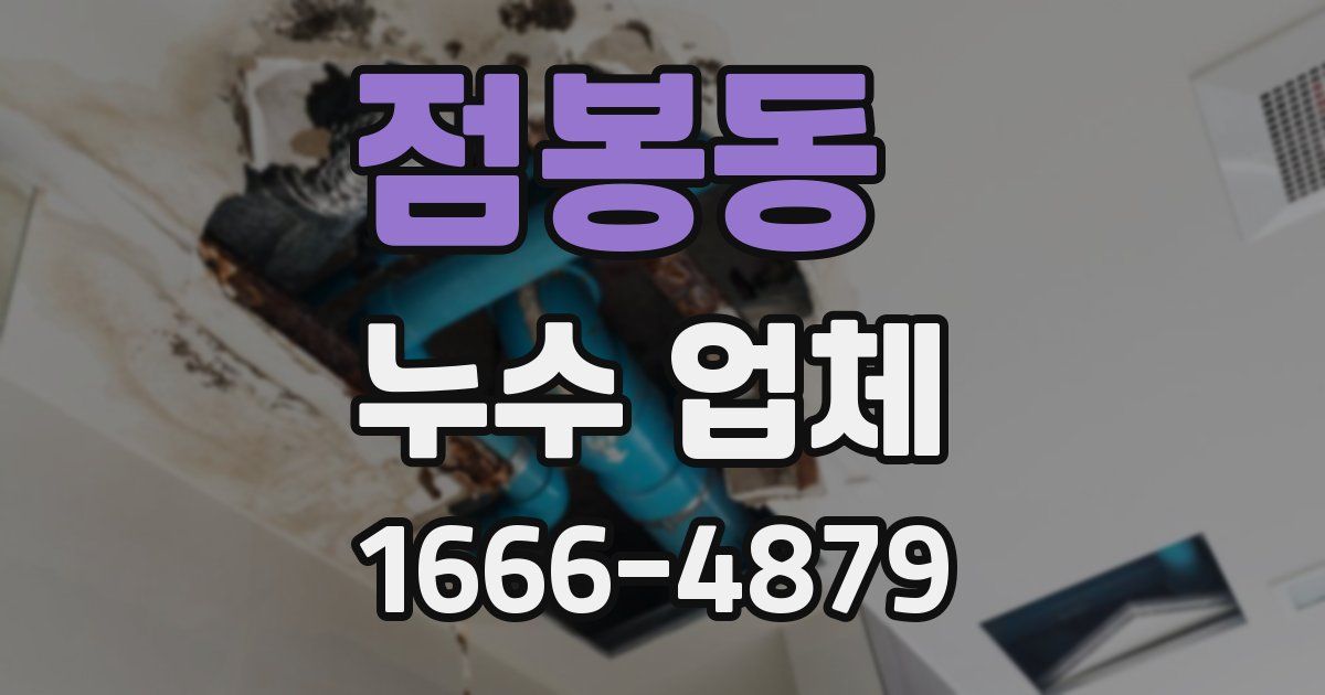점봉동 누수 업체