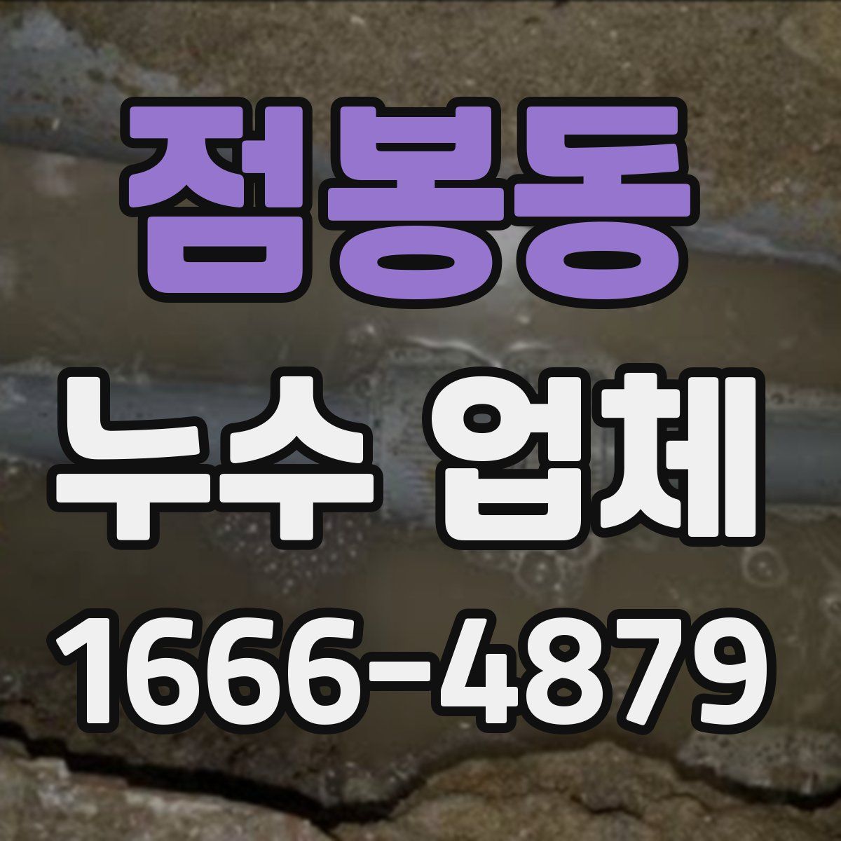 점봉동 누수 업체