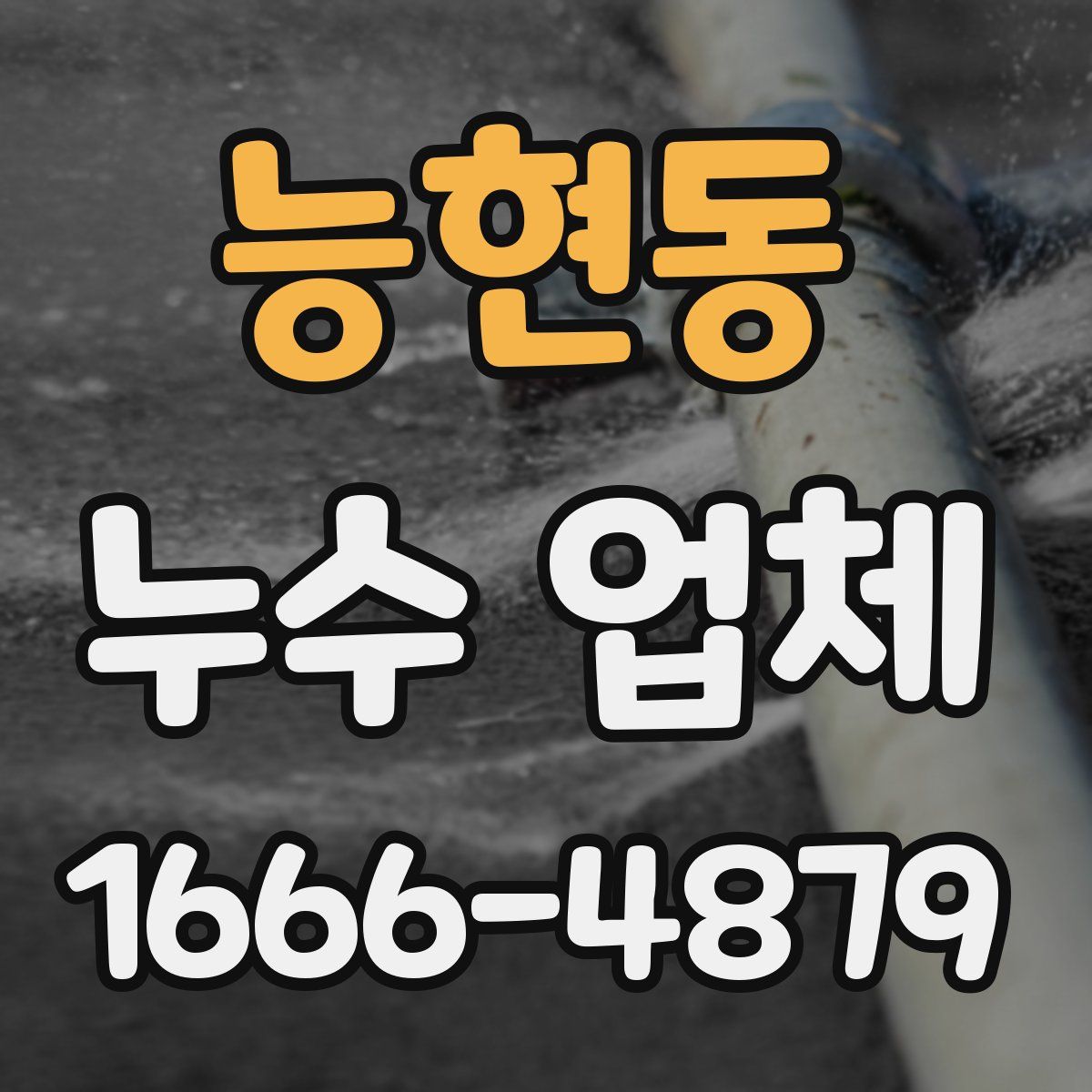 능현동 누수 업체