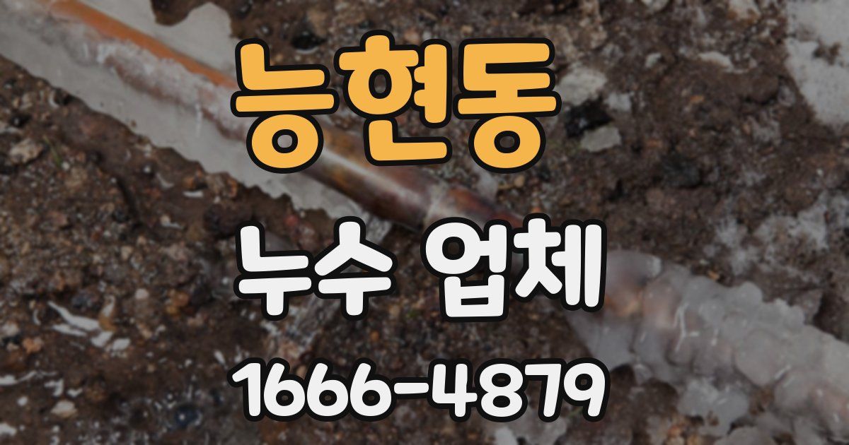 능현동 누수 업체