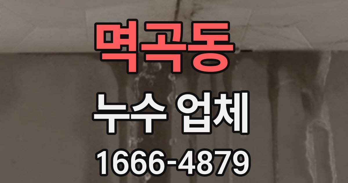 멱곡동 누수 업체