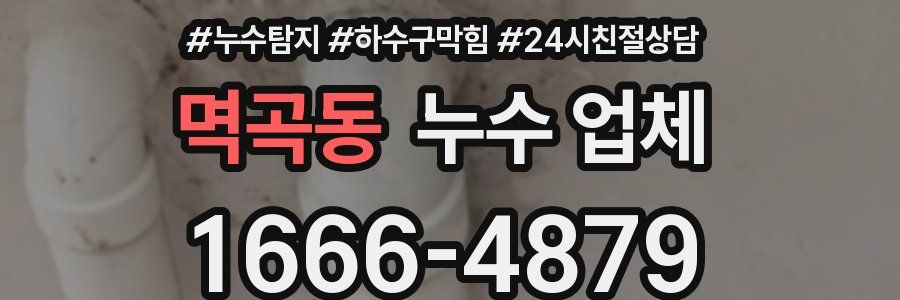 멱곡동 누수 업체