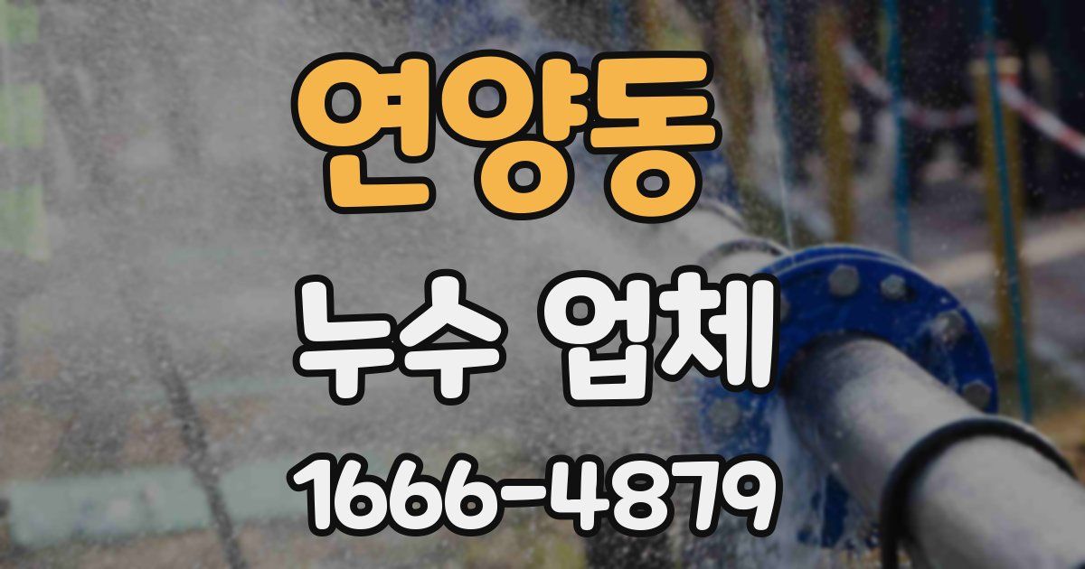 연양동 누수 업체