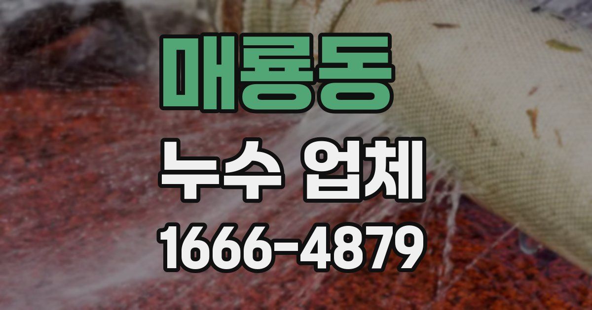 매룡동 누수 업체