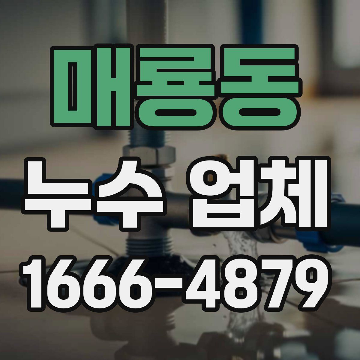 매룡동 누수 업체