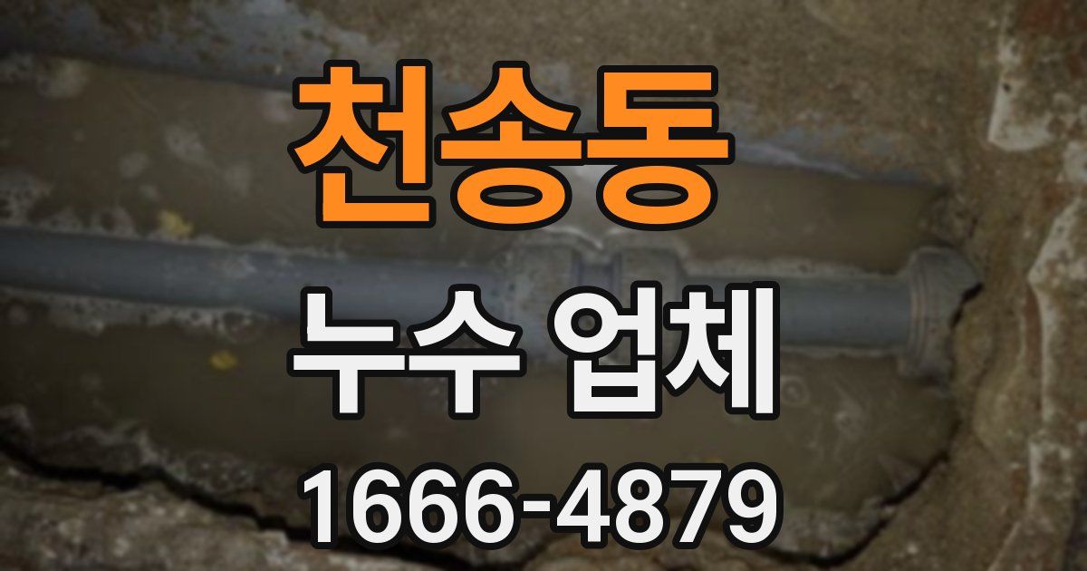 천송동 누수 업체