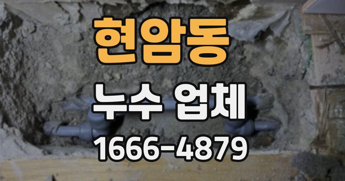 현암동 누수 업체
