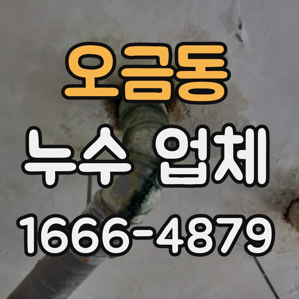 오금동 누수 업체