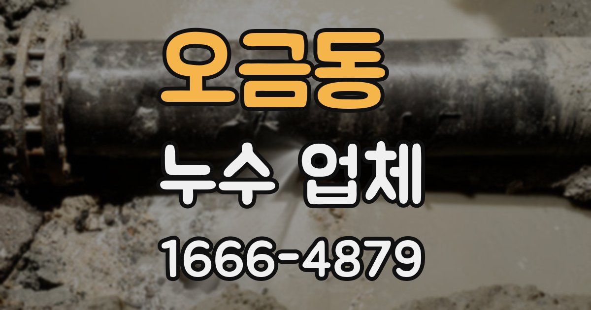 오금동 누수 업체