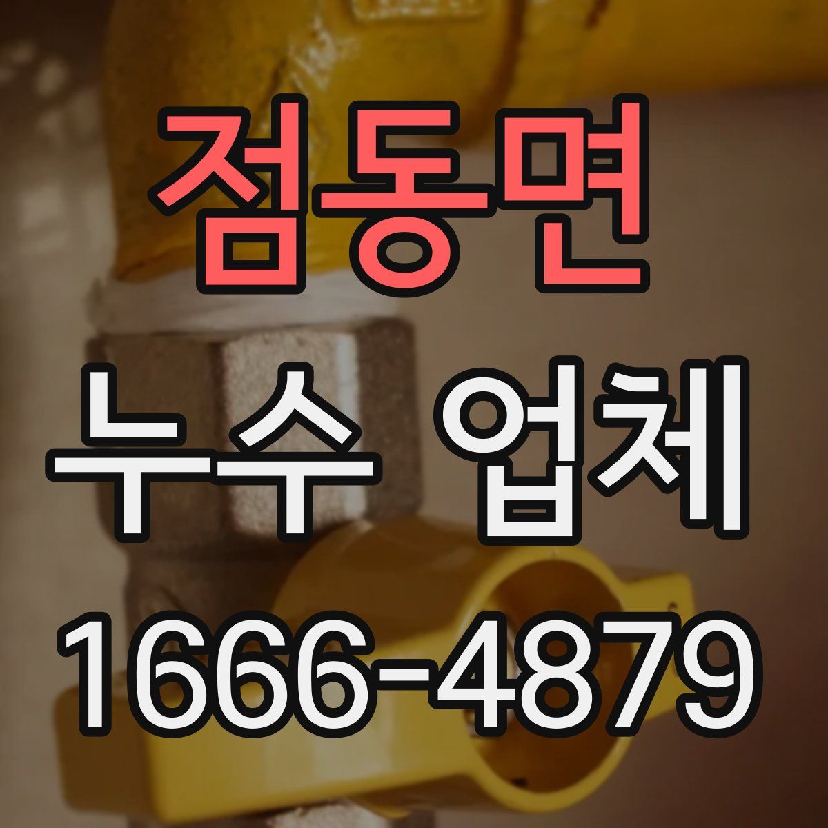 점동면 누수 업체