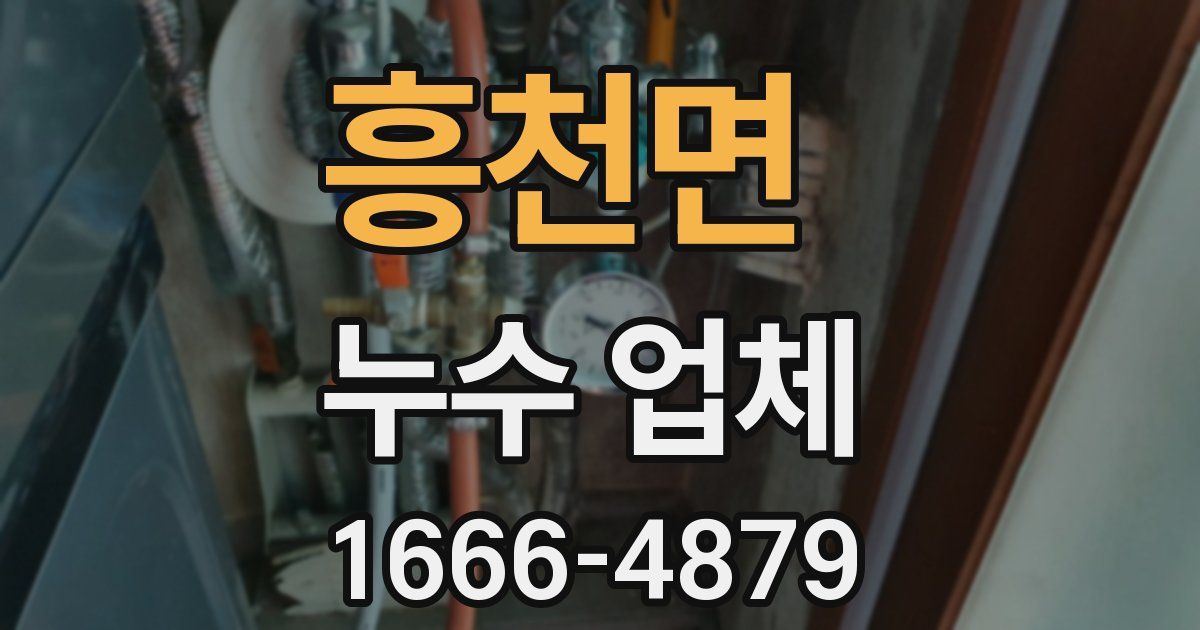 흥천면 누수 업체