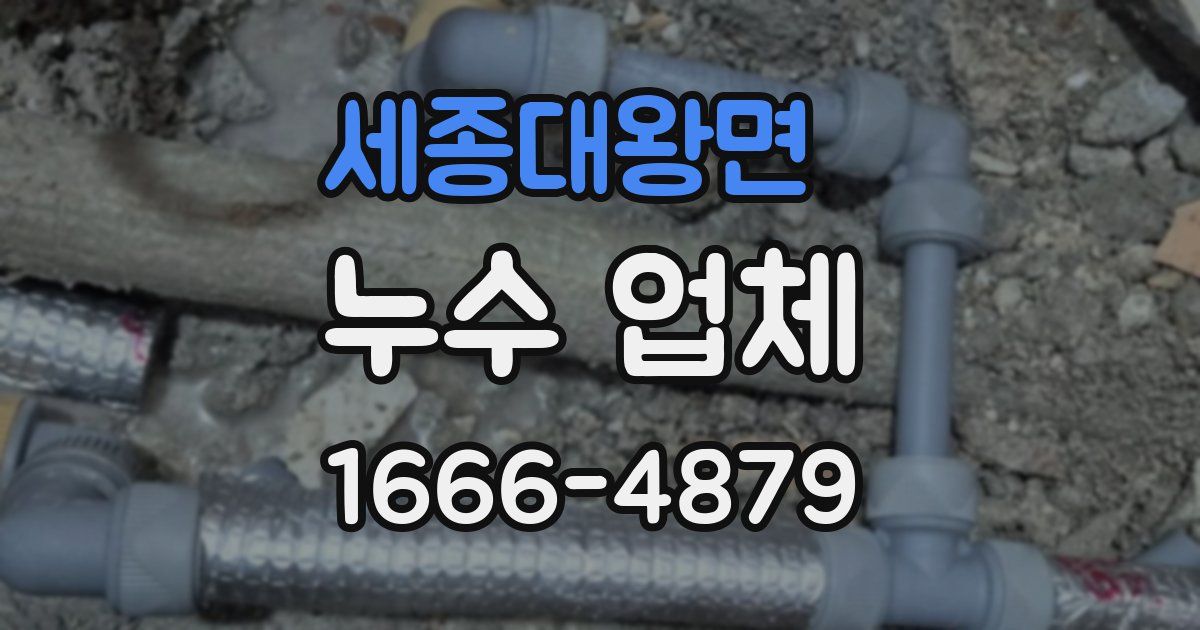 세종대왕면 누수 업체