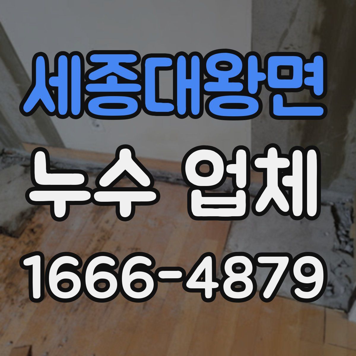 세종대왕면 누수 업체