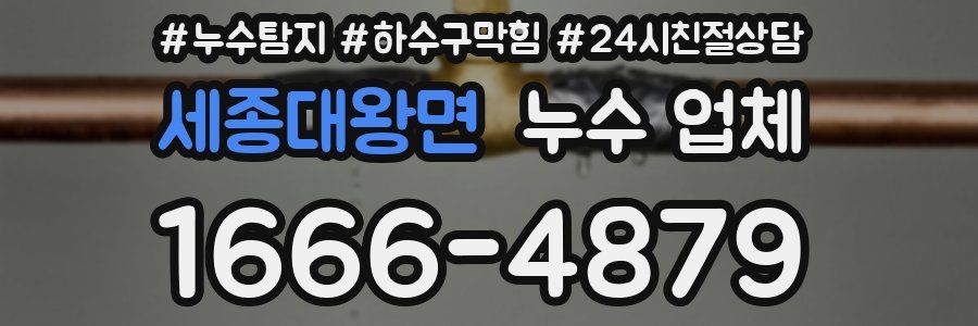 세종대왕면 누수 업체