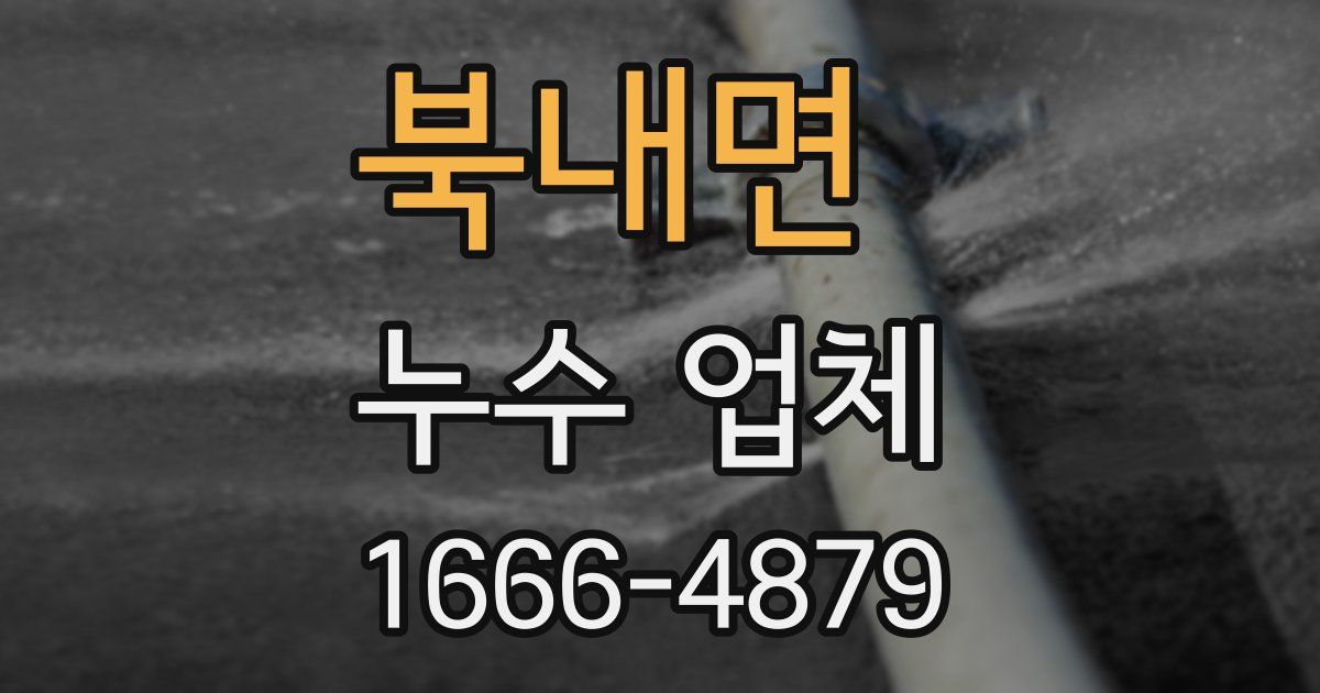 북내면 누수 업체