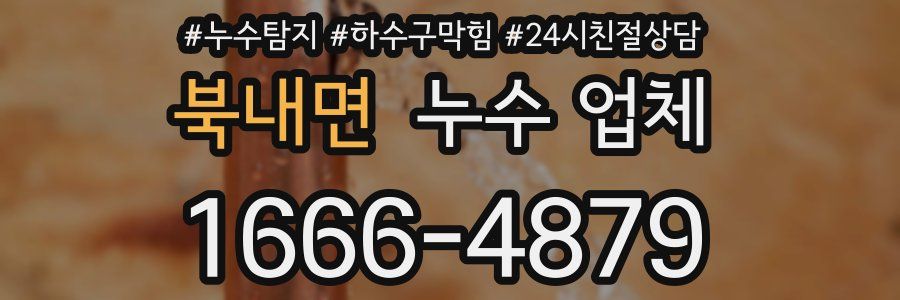 북내면 누수 업체
