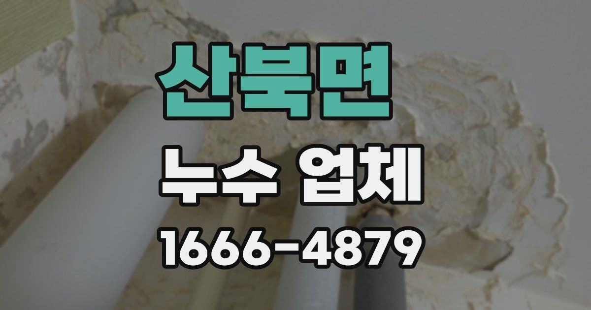 산북면 누수 업체