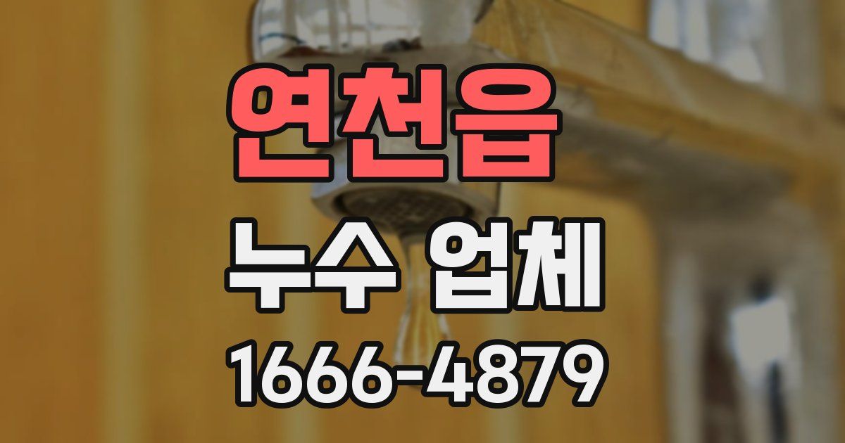 연천읍 누수 업체