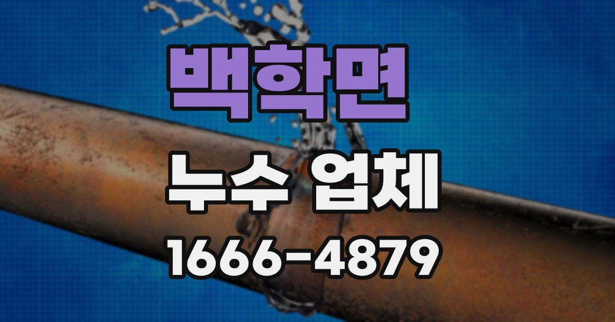 백학면 누수 업체