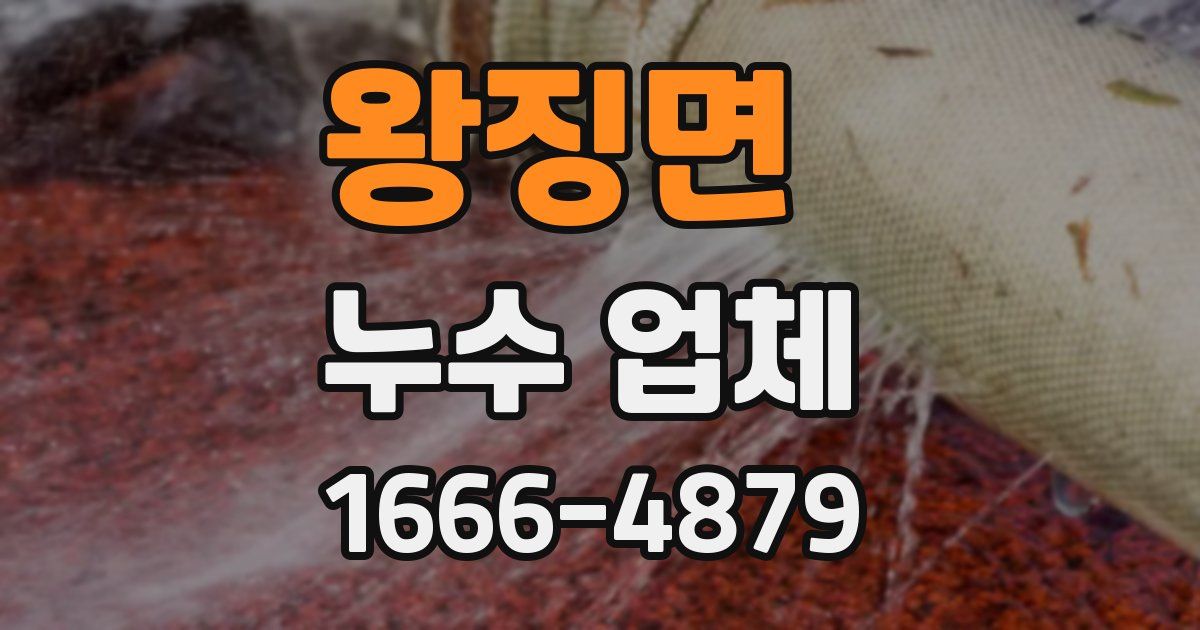 왕징면 누수 업체
