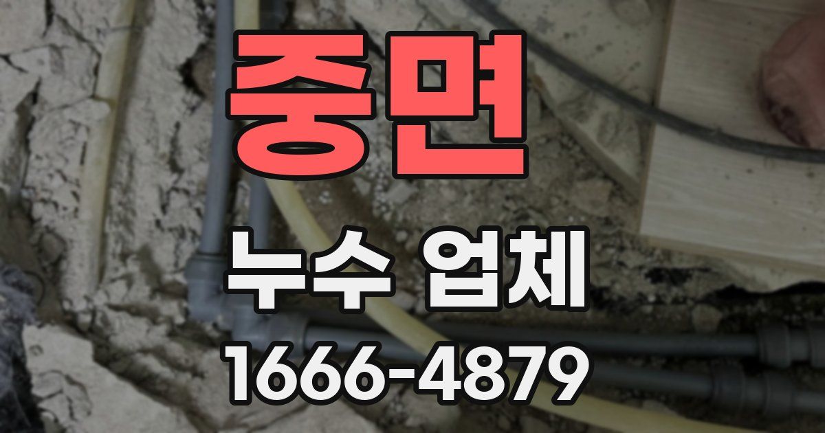 중면 누수 업체