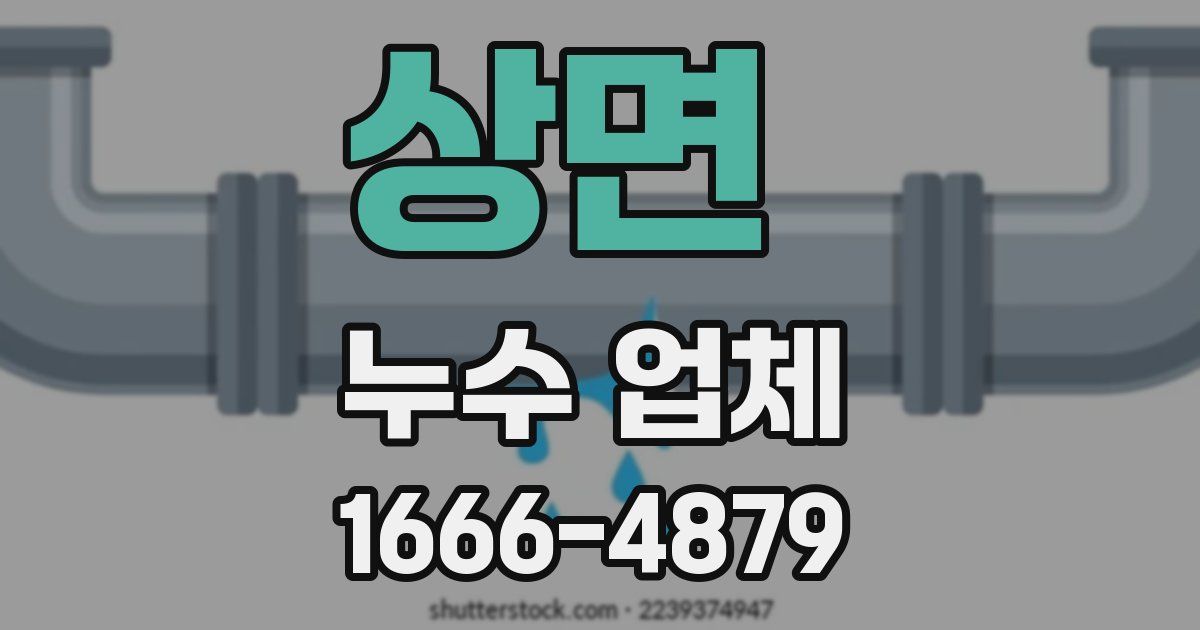 상면 누수 업체