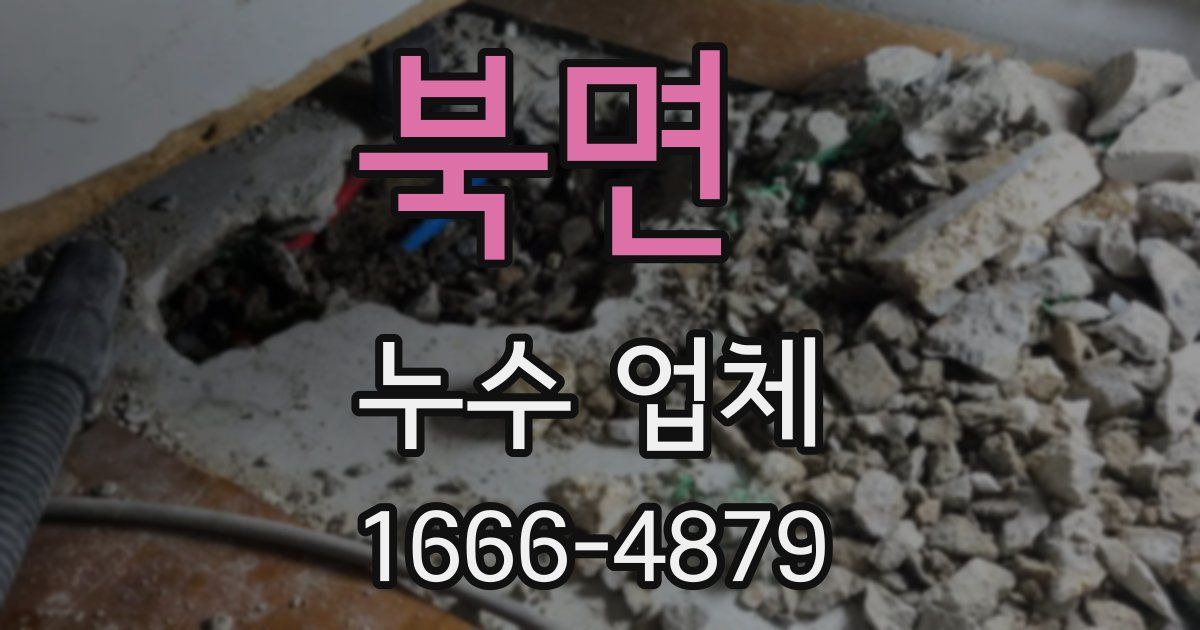 북면 누수 업체