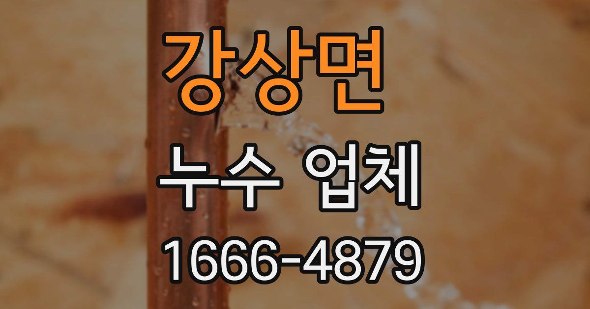 강상면 누수 업체