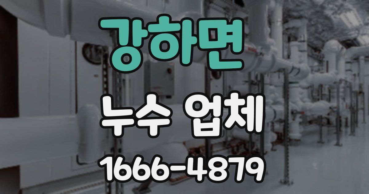 강하면 누수 업체