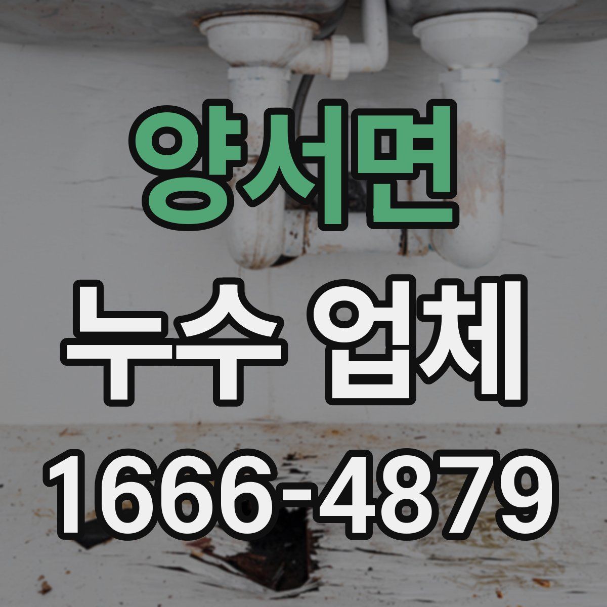 양서면 누수 업체