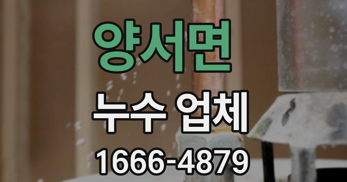 양서면 누수 업체