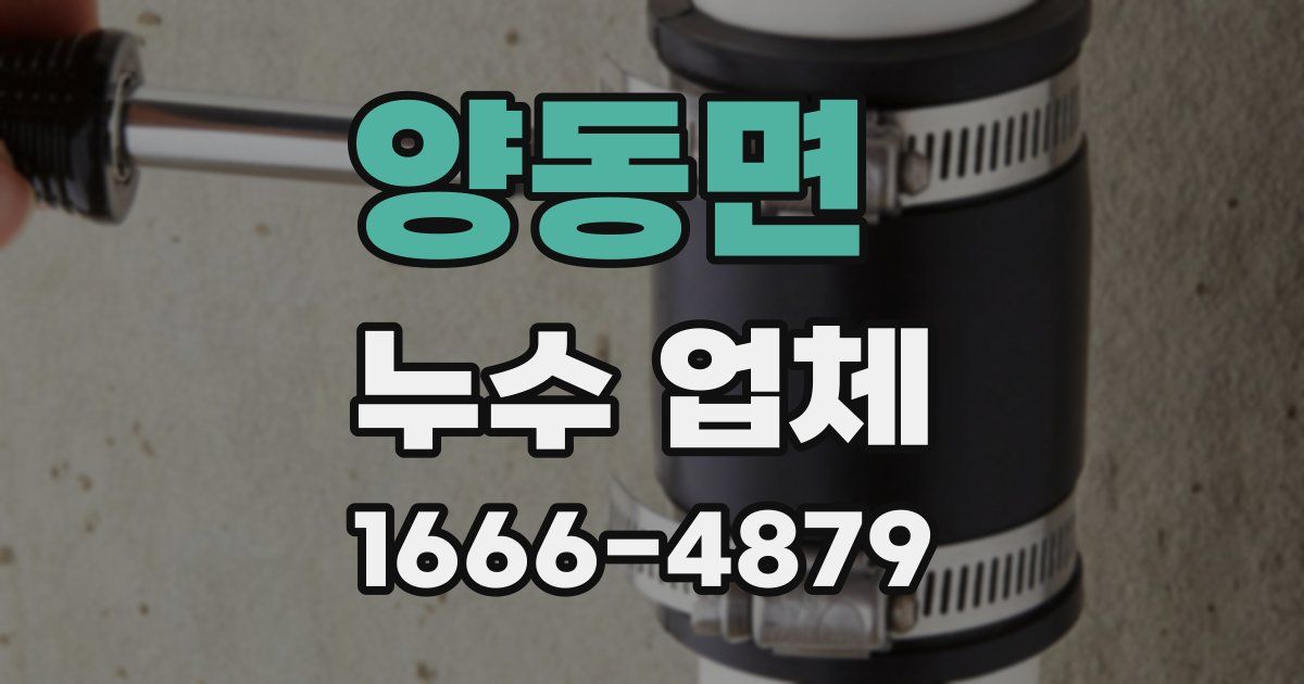양동면 누수 업체