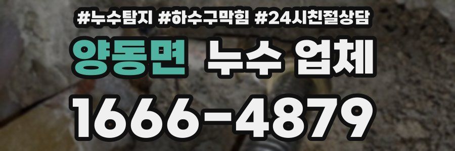 양동면 누수 업체