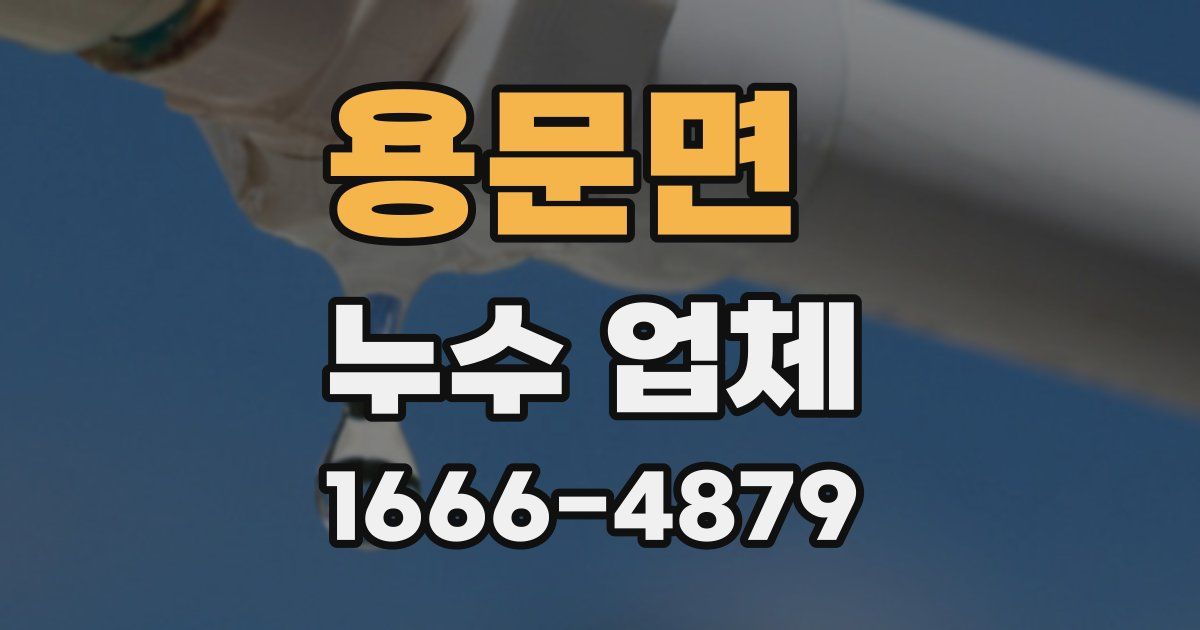 용문면 누수 업체