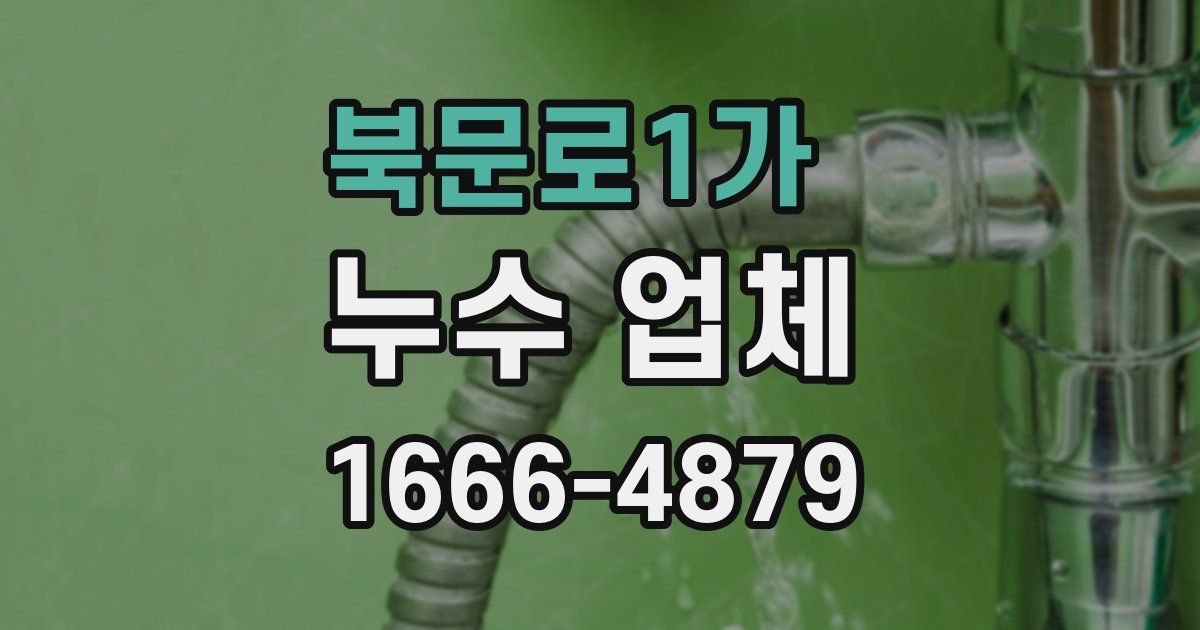 북문로1가 누수 업체