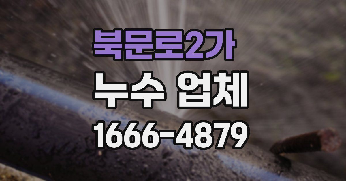 북문로2가 누수 업체