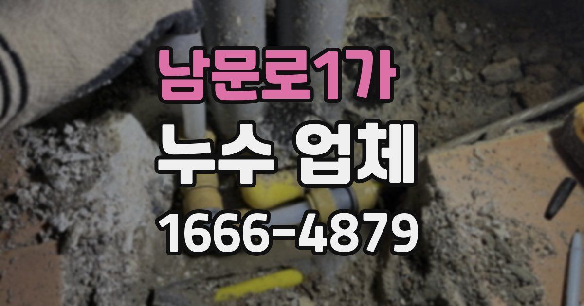남문로1가 누수 업체