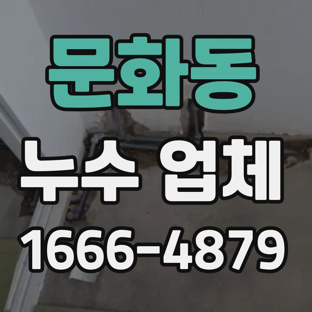 문화동 누수 업체