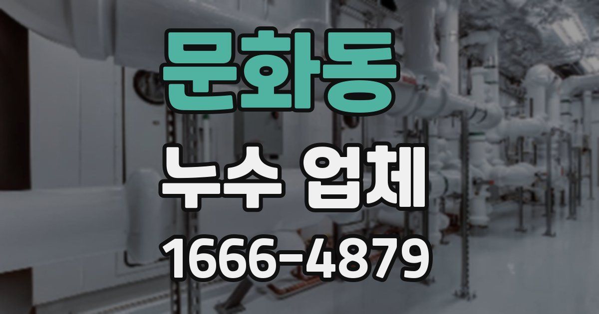 문화동 누수 업체