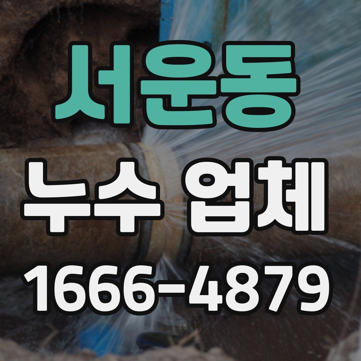 서운동 누수 업체