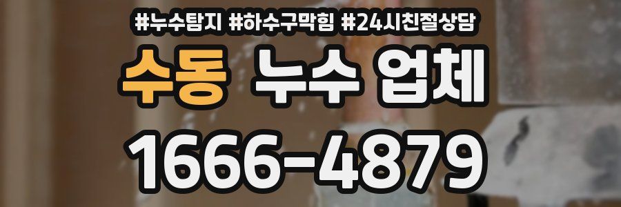수동 누수 업체